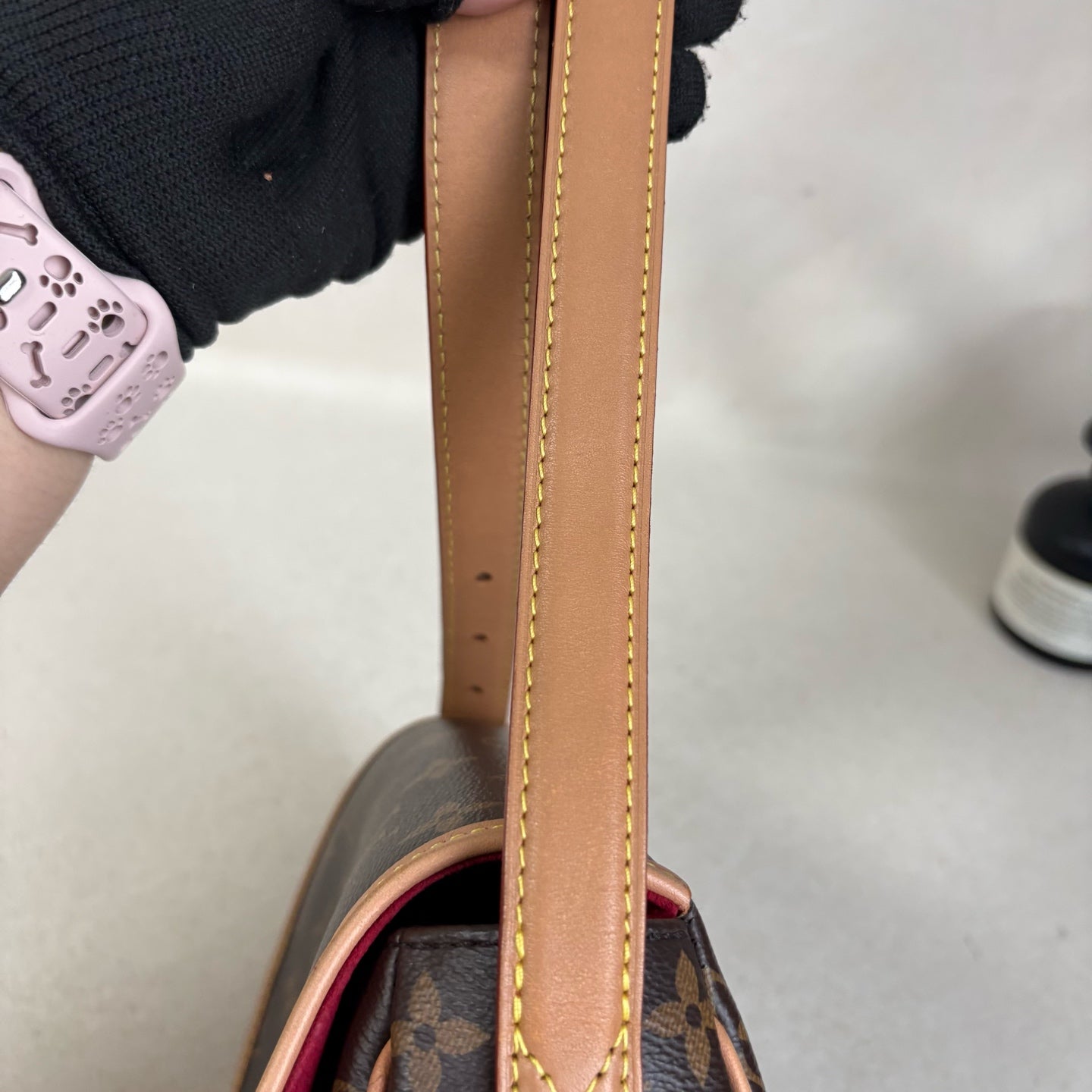 Louis Vuitton Saddle Bag