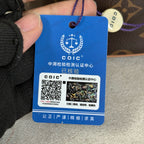 Louis Vuitton Saddle Bag