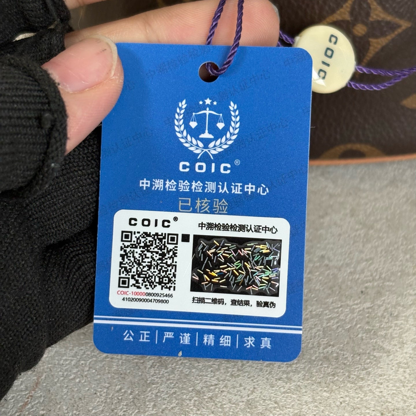 Louis Vuitton Saddle Bag
