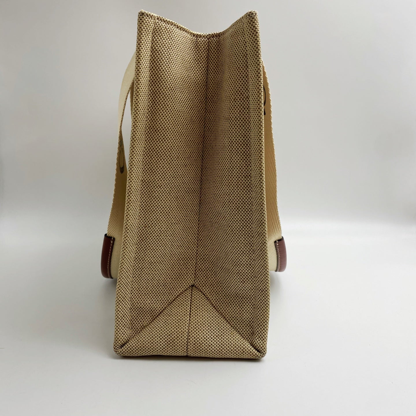 Chloe Canvas Brown Tote