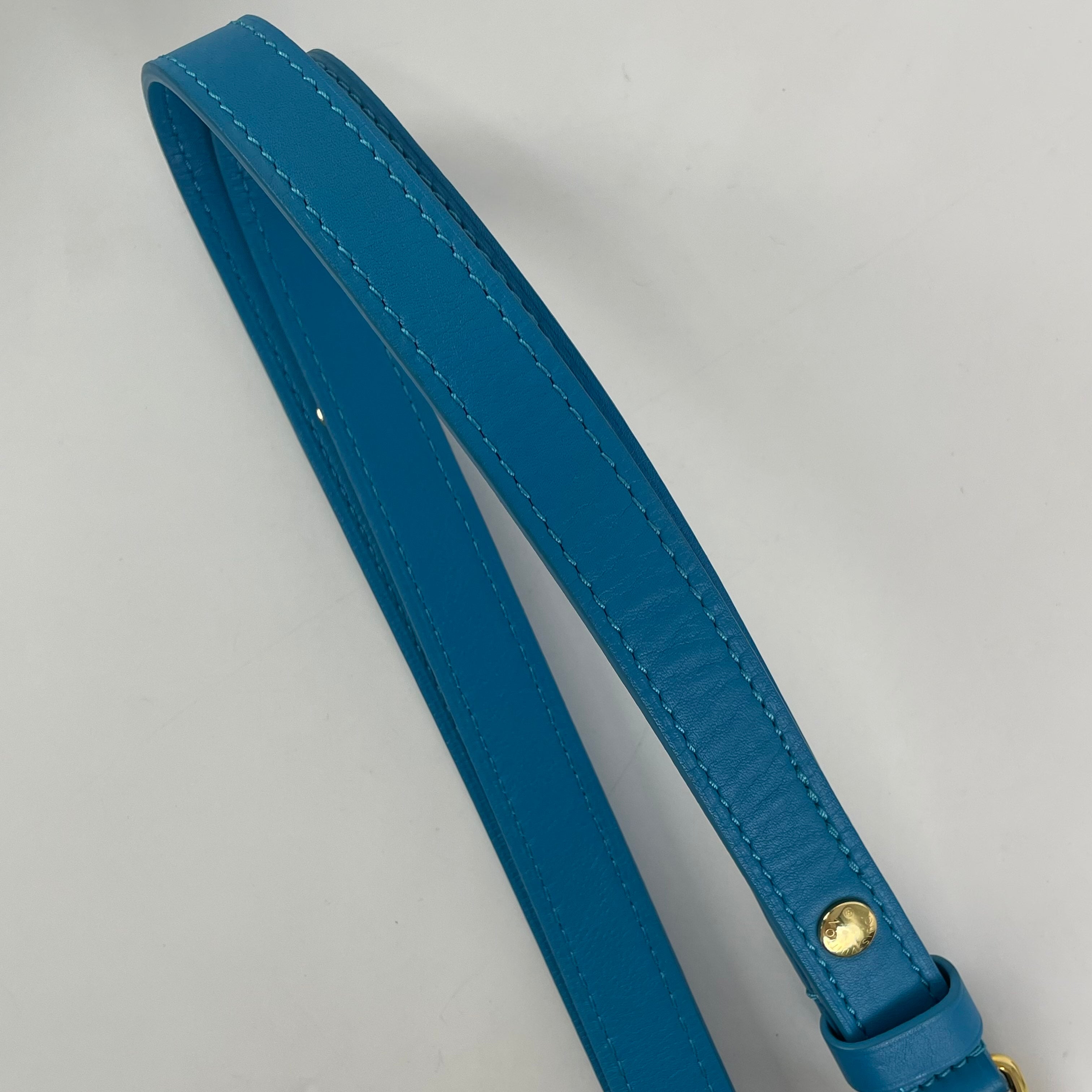 Louis Vuitton Blue