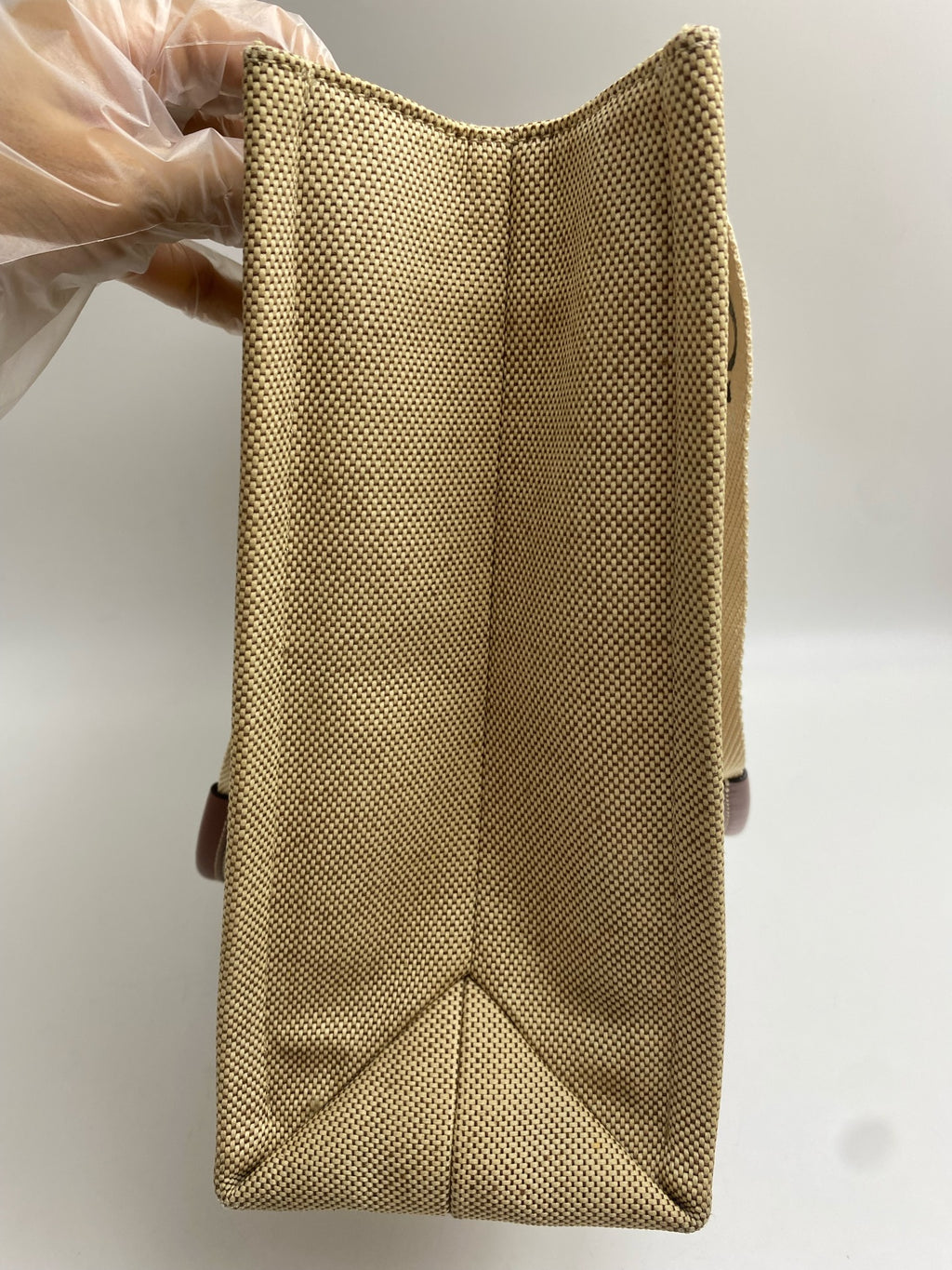 Chloe Canvas Brown Tote