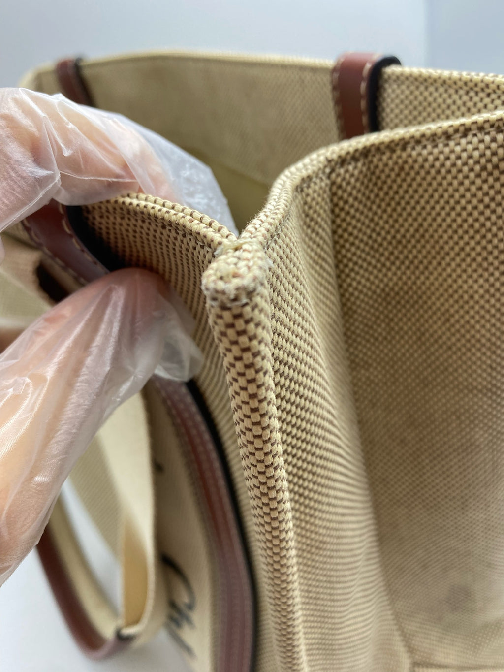 Chloe Canvas Brown Tote