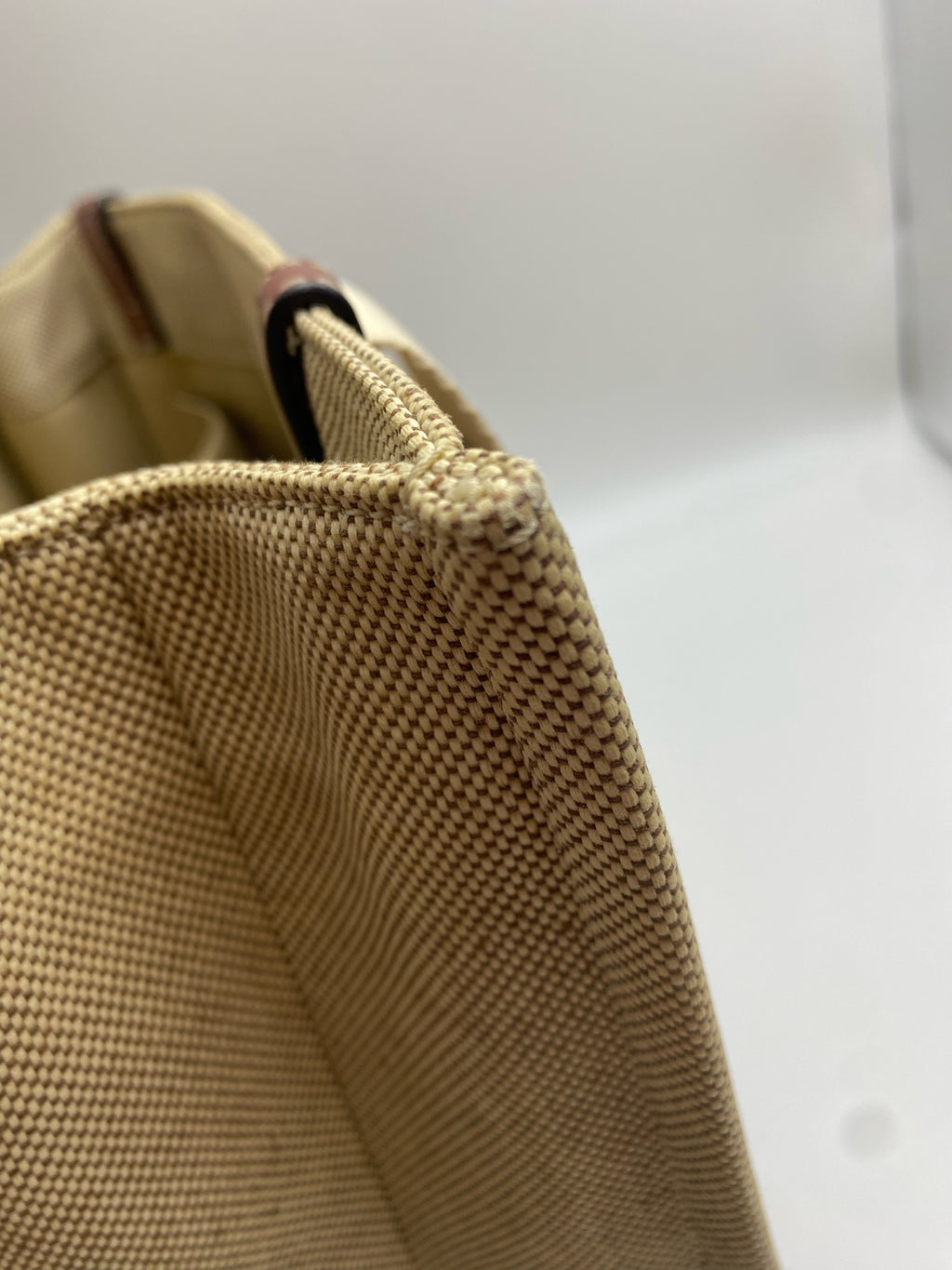 Chloe Canvas Brown Tote