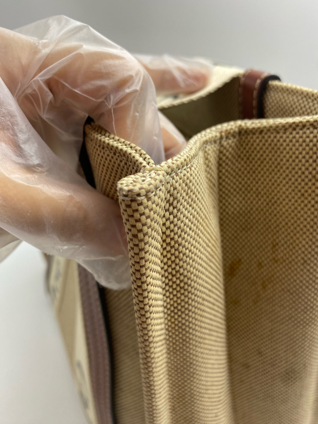 Chloe Canvas Brown Tote