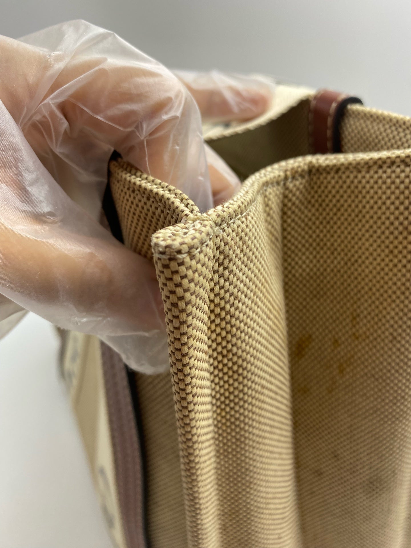 Chloe Canvas Brown Tote