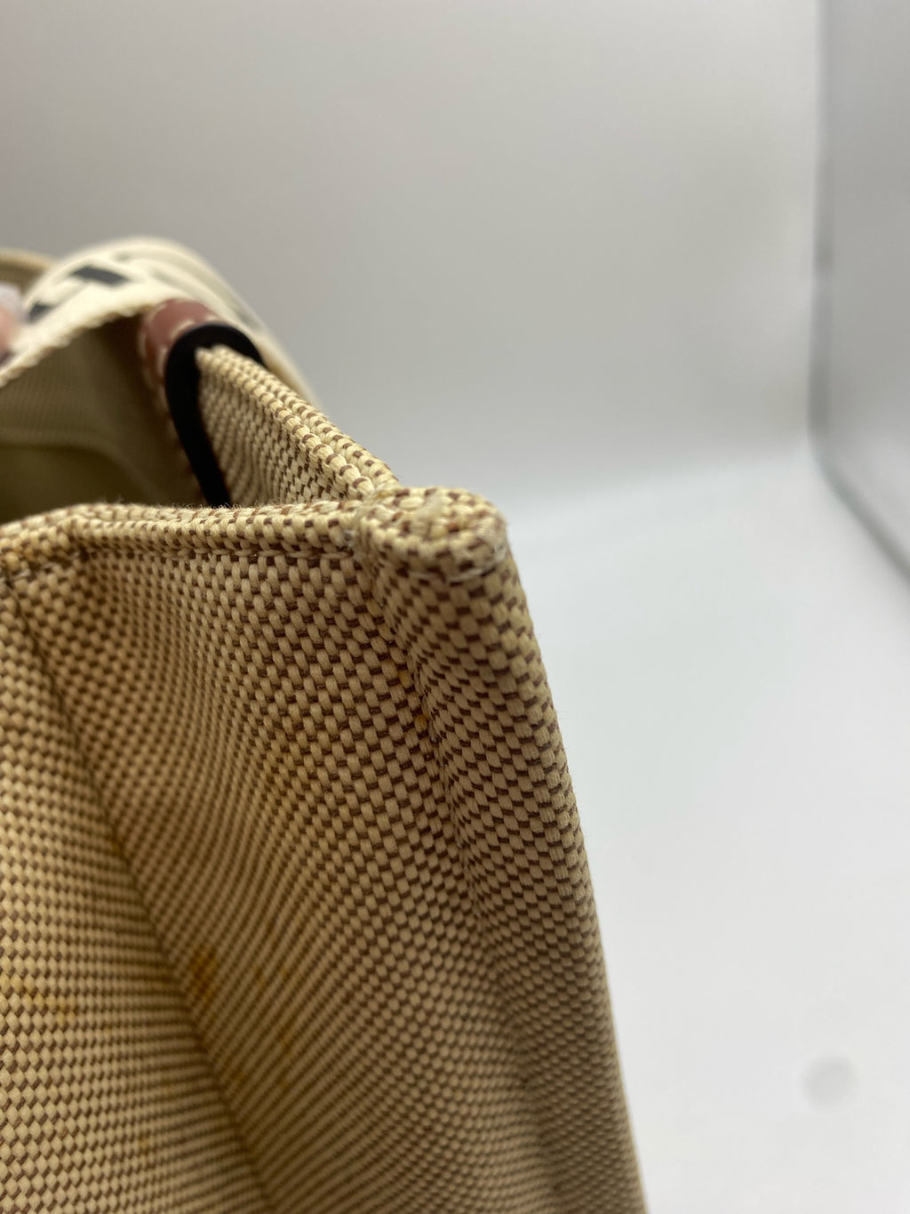 Chloe Canvas Brown Tote