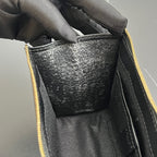 Celine Clutch