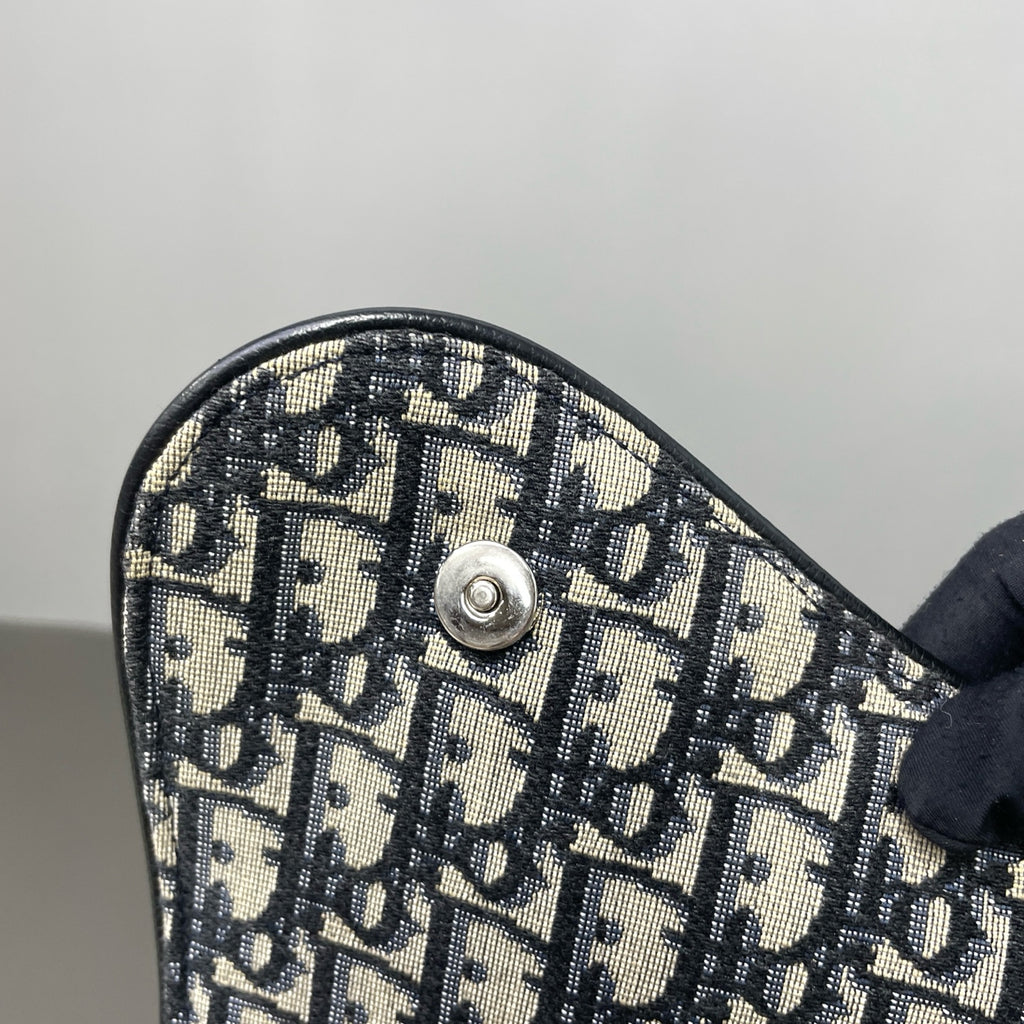 Dior Canvas Saddle Bag