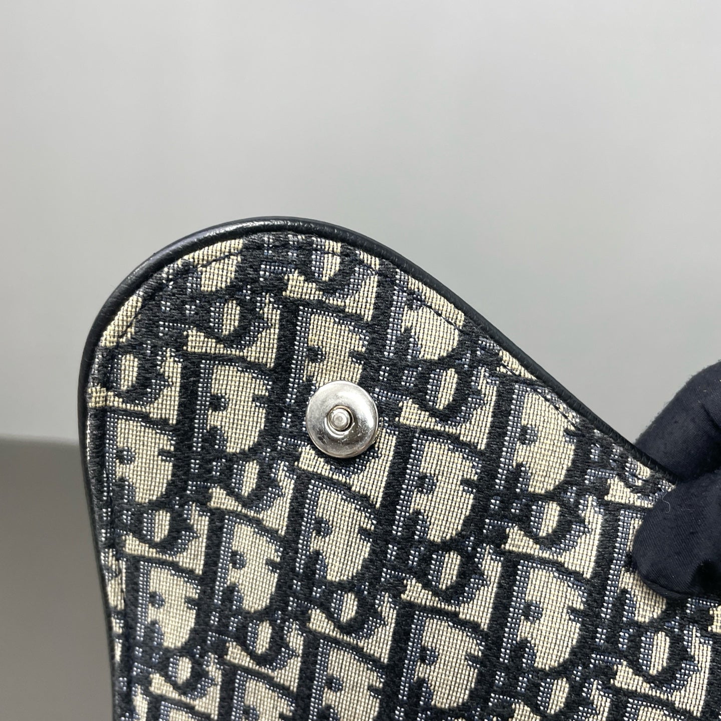 Dior Canvas Saddle Bag