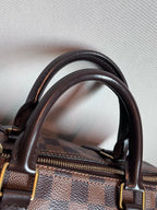 Louis Vuitton Leather N41181
