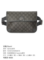 Gucci Ophidia Collection Canvas Gray 7525972ZGMN8576