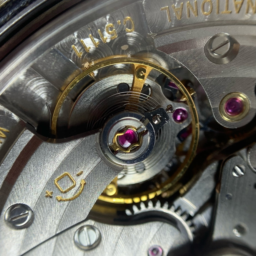 IWC Pilot Series 46.2 MM IW500401