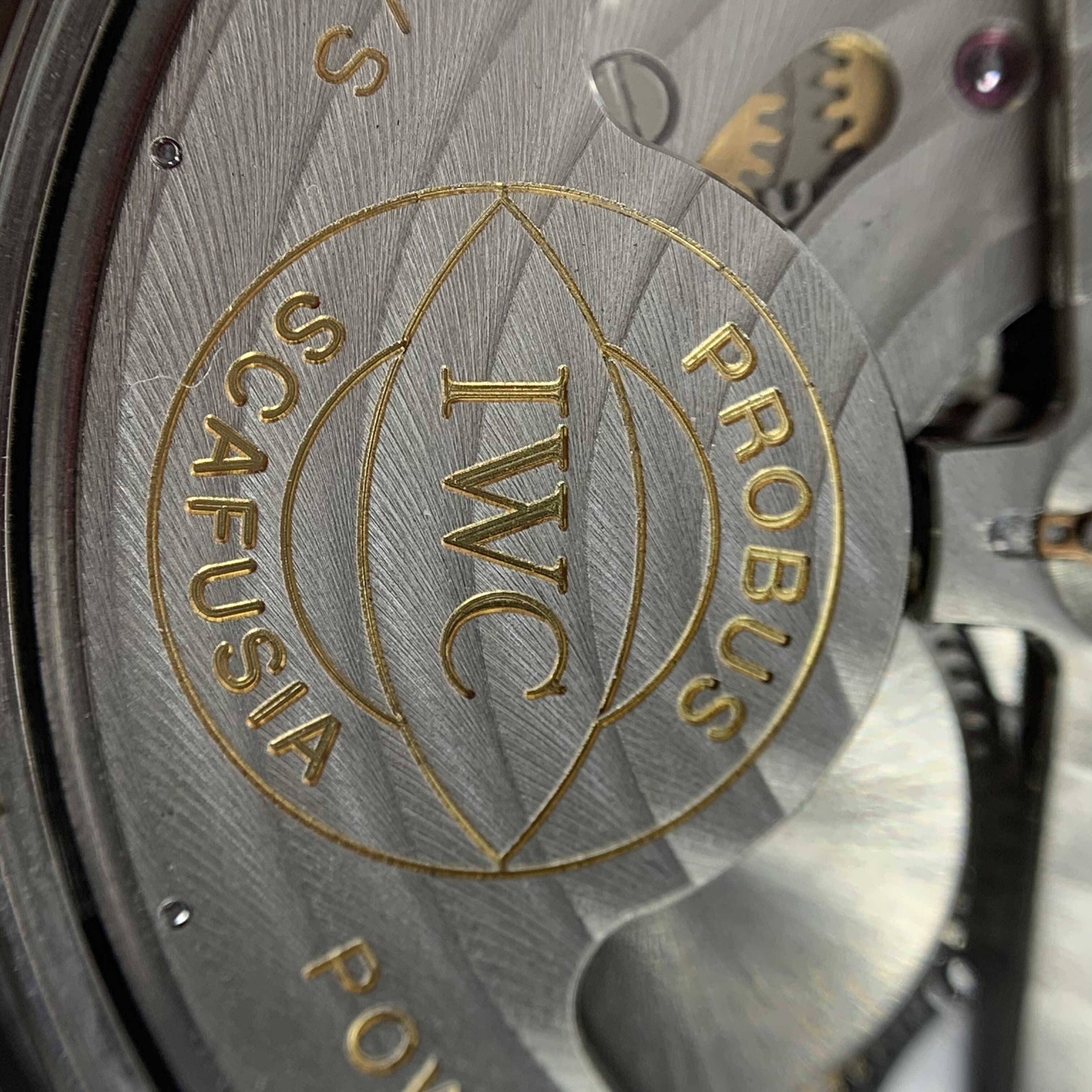 IWC Pilot Series 46.2 MM IW500401