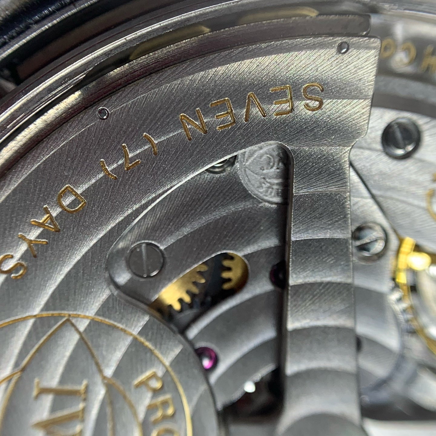 IWC Pilot Series 46.2 MM IW500401