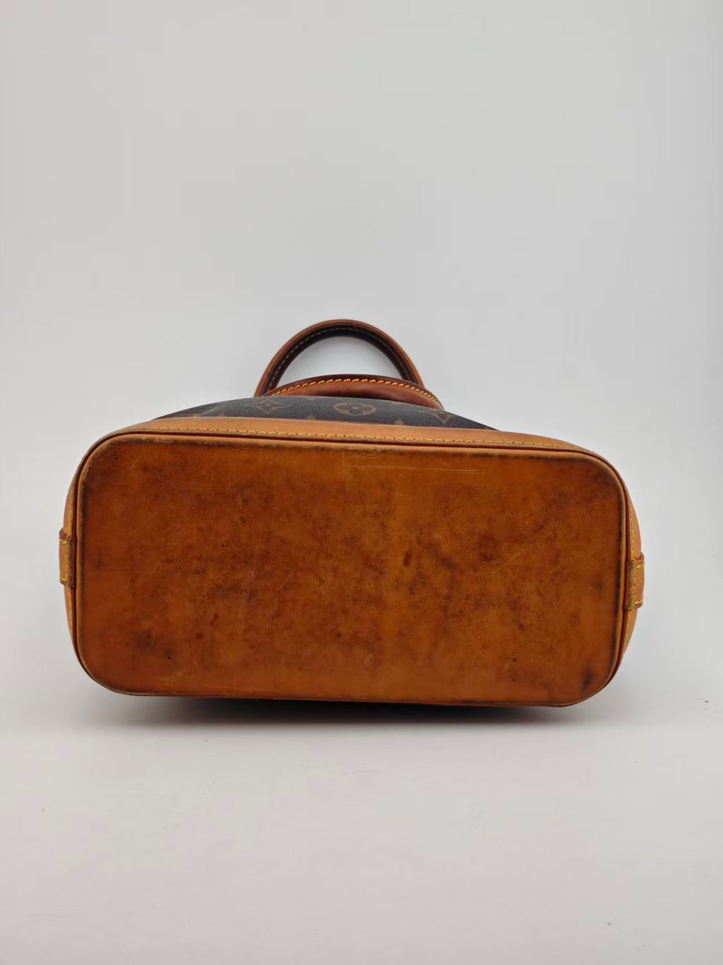 Louis Vuitton Canvas