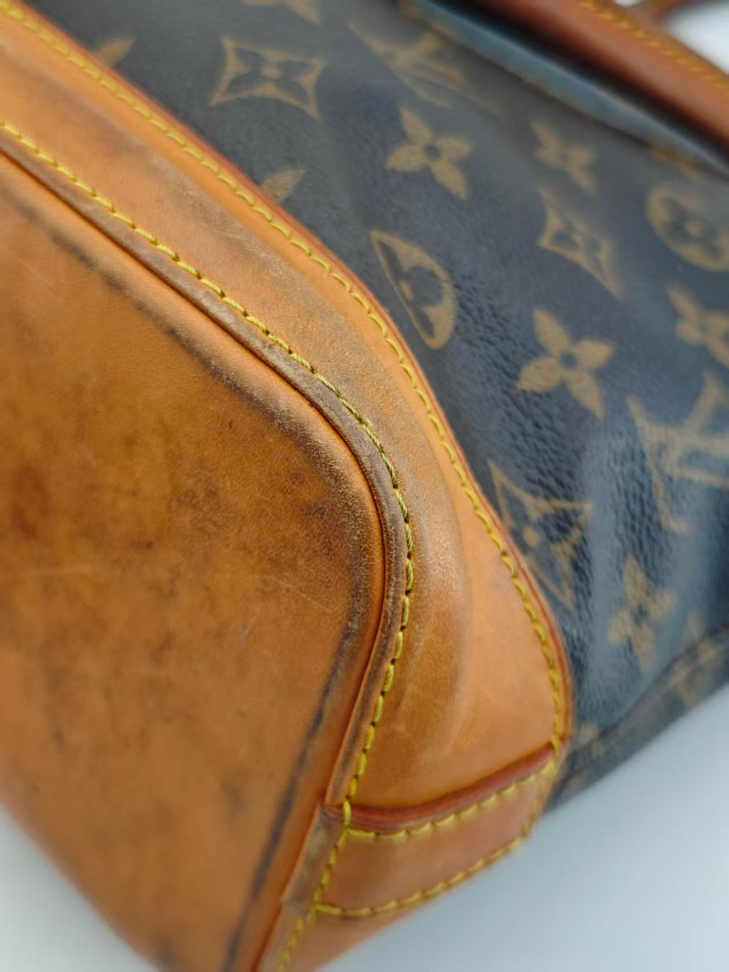 Louis Vuitton Canvas