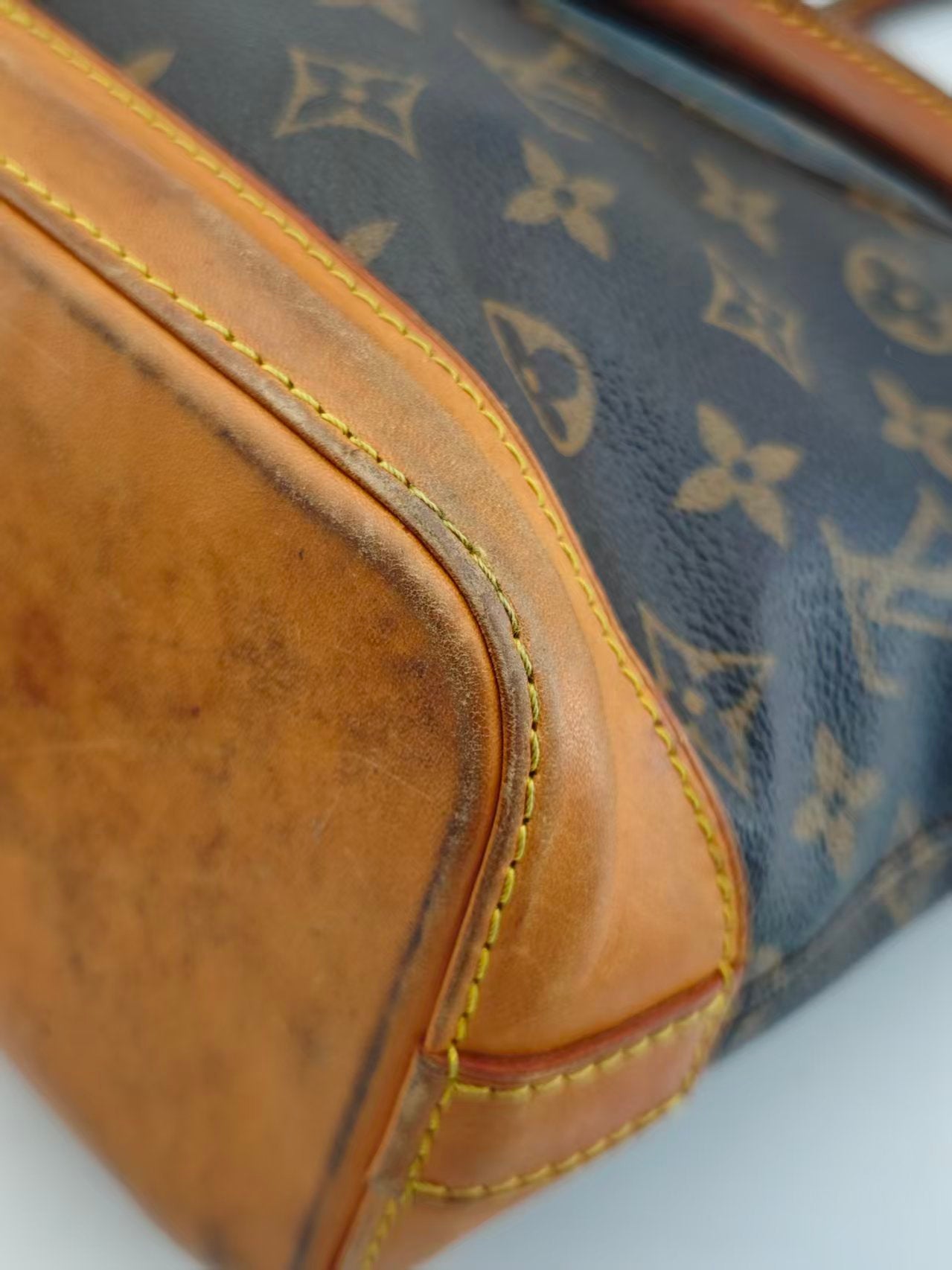 Louis Vuitton Canvas