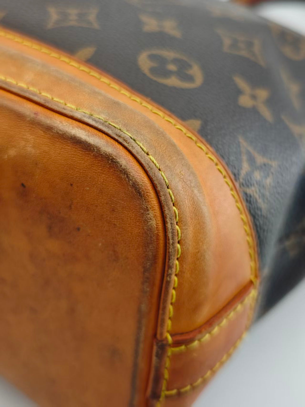 Louis Vuitton Canvas