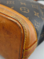 Louis Vuitton Canvas