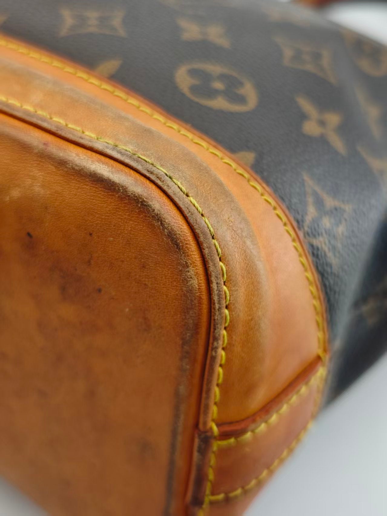 Louis Vuitton Canvas
