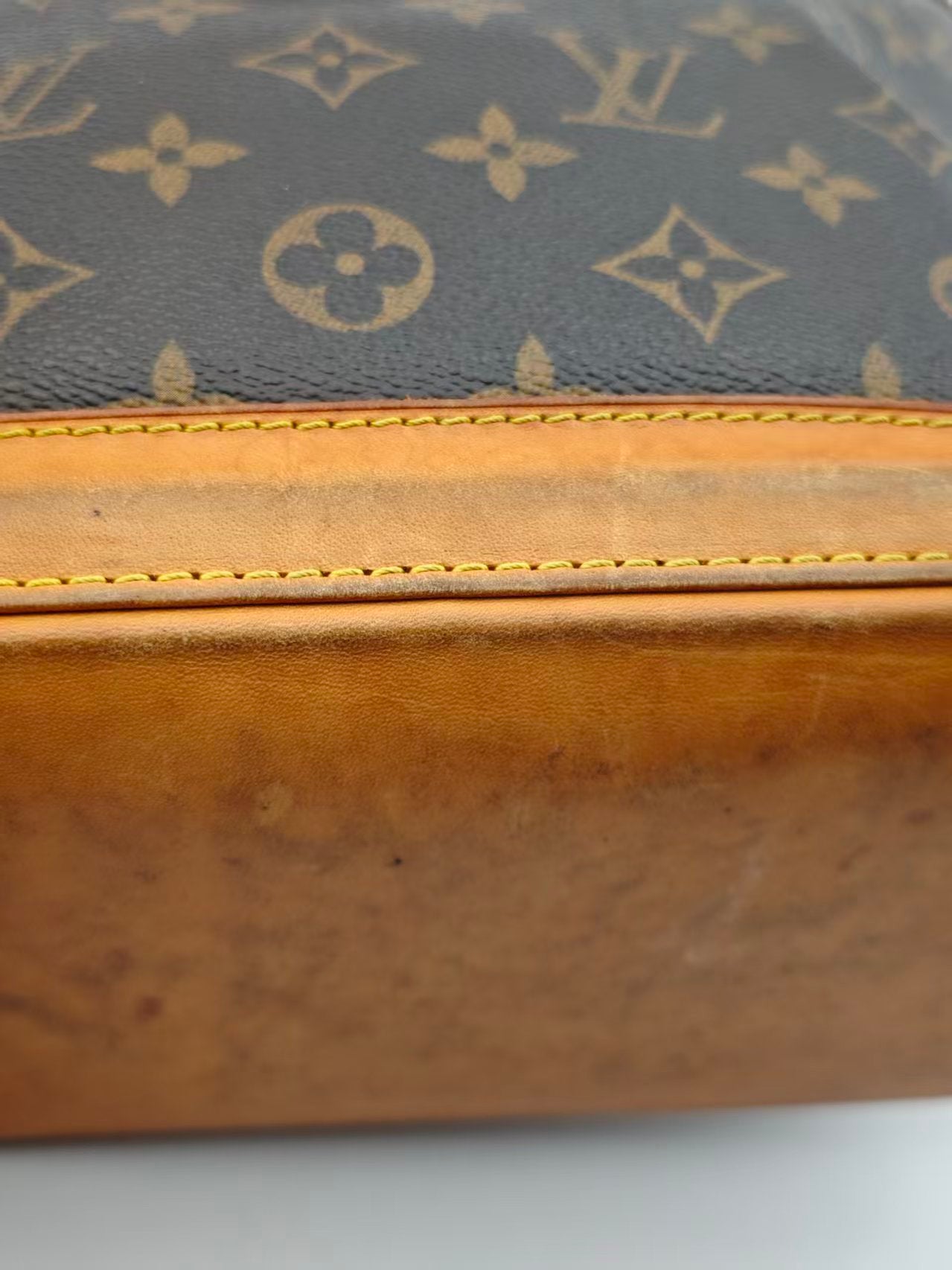 Louis Vuitton Canvas