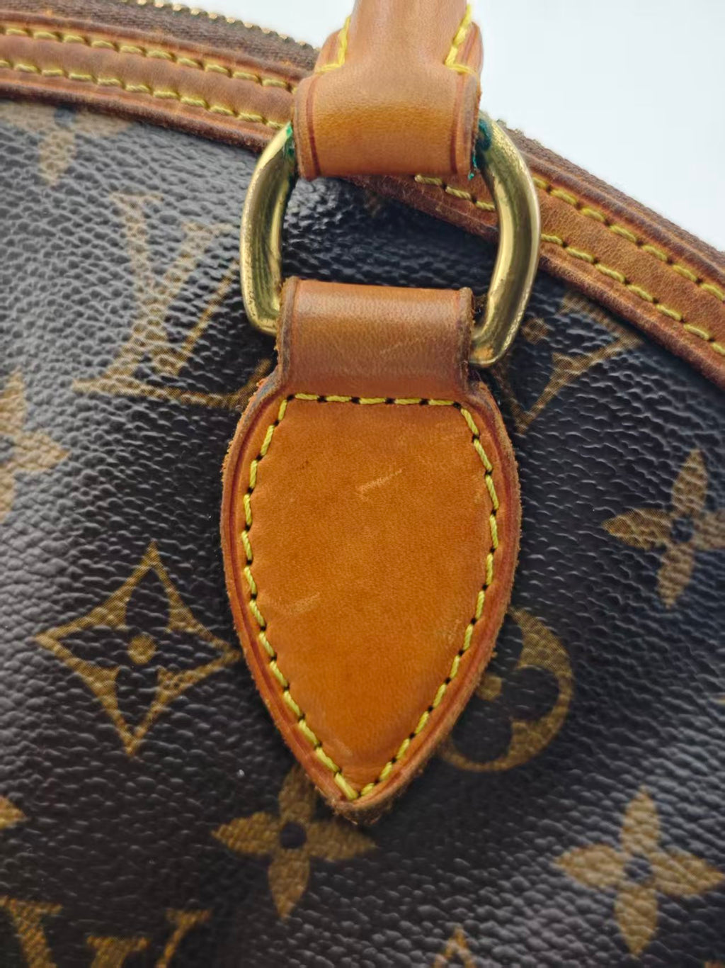 Louis Vuitton Canvas