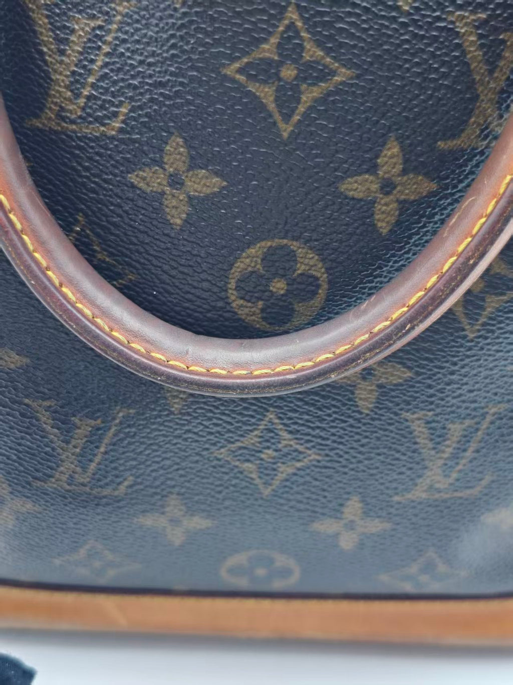 Louis Vuitton Canvas