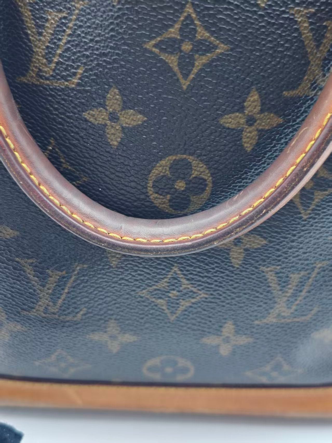Louis Vuitton Canvas