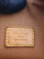 Louis Vuitton Canvas