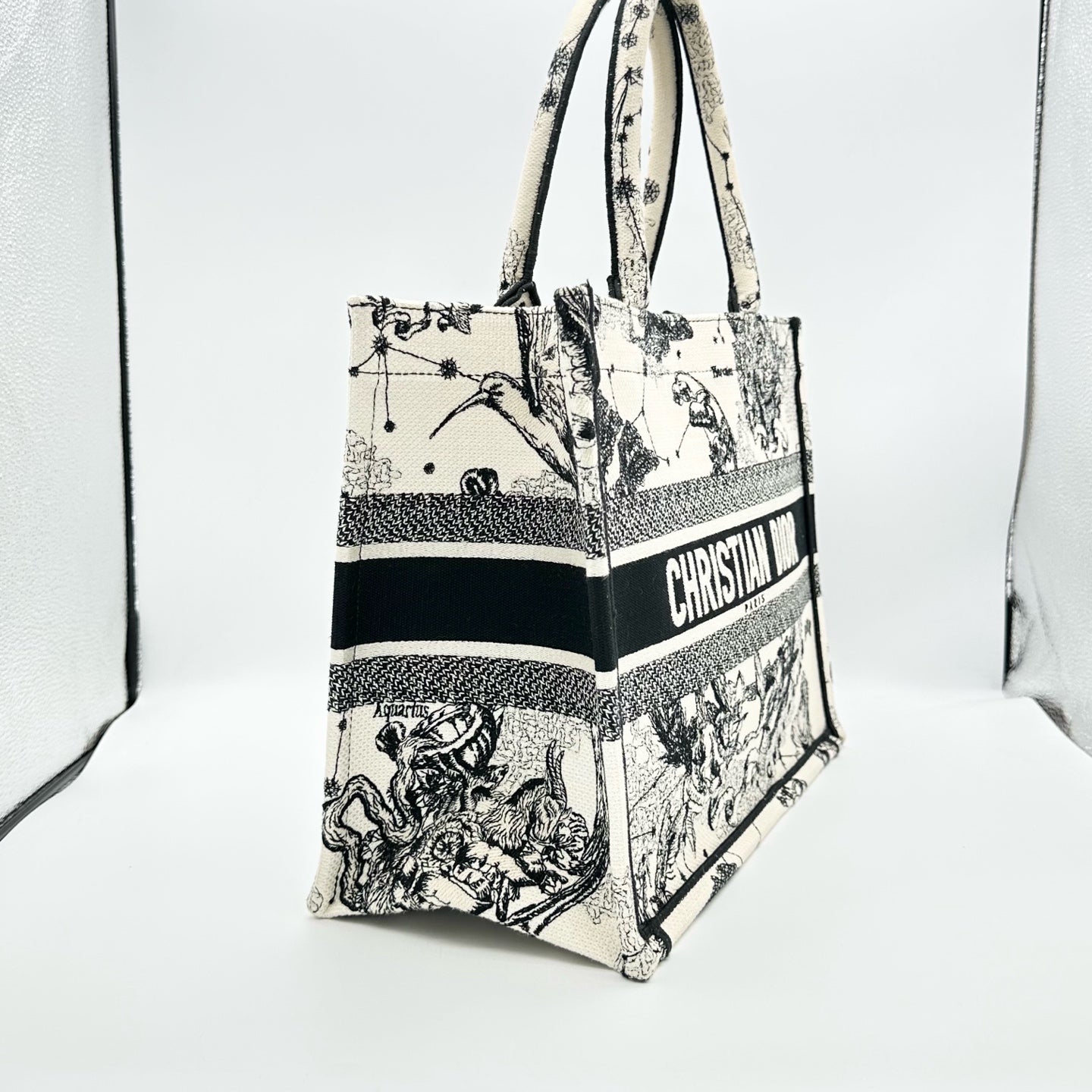 Dior Tote