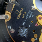 Omega Seahorse Series 43.50 MM 2542.80.00
