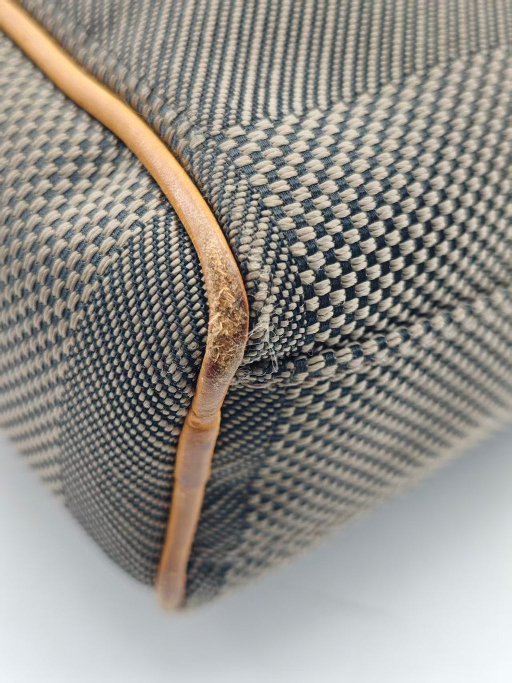 Louis Vuitton Canvas