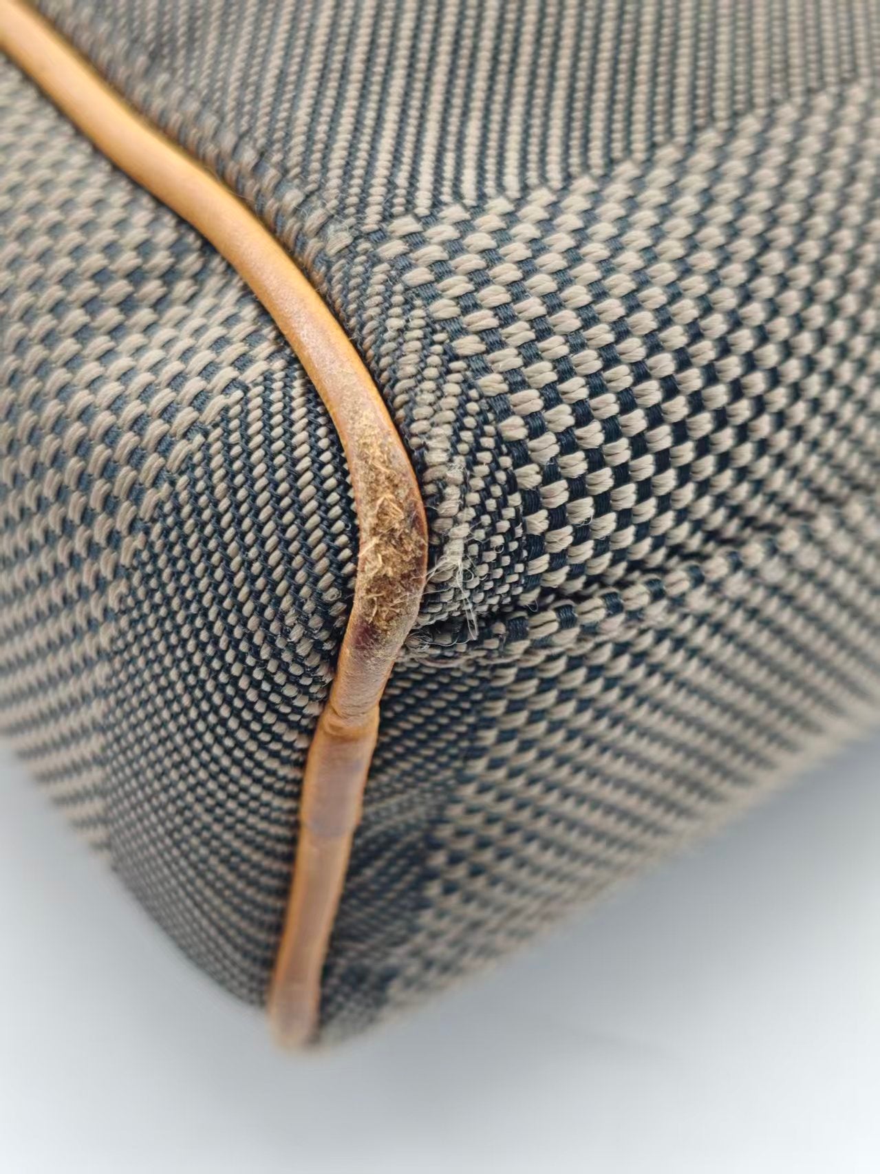 Louis Vuitton Canvas
