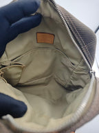 Louis Vuitton Canvas
