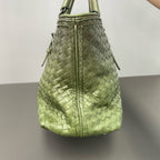 Bottega Veneta Green
