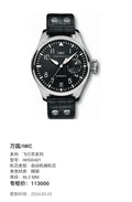 IWC Pilot Series 46.2 MM IW500401