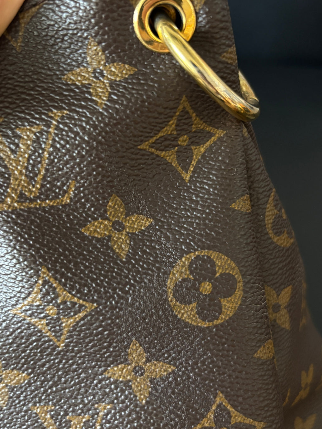 Louis Vuitton Crossbody