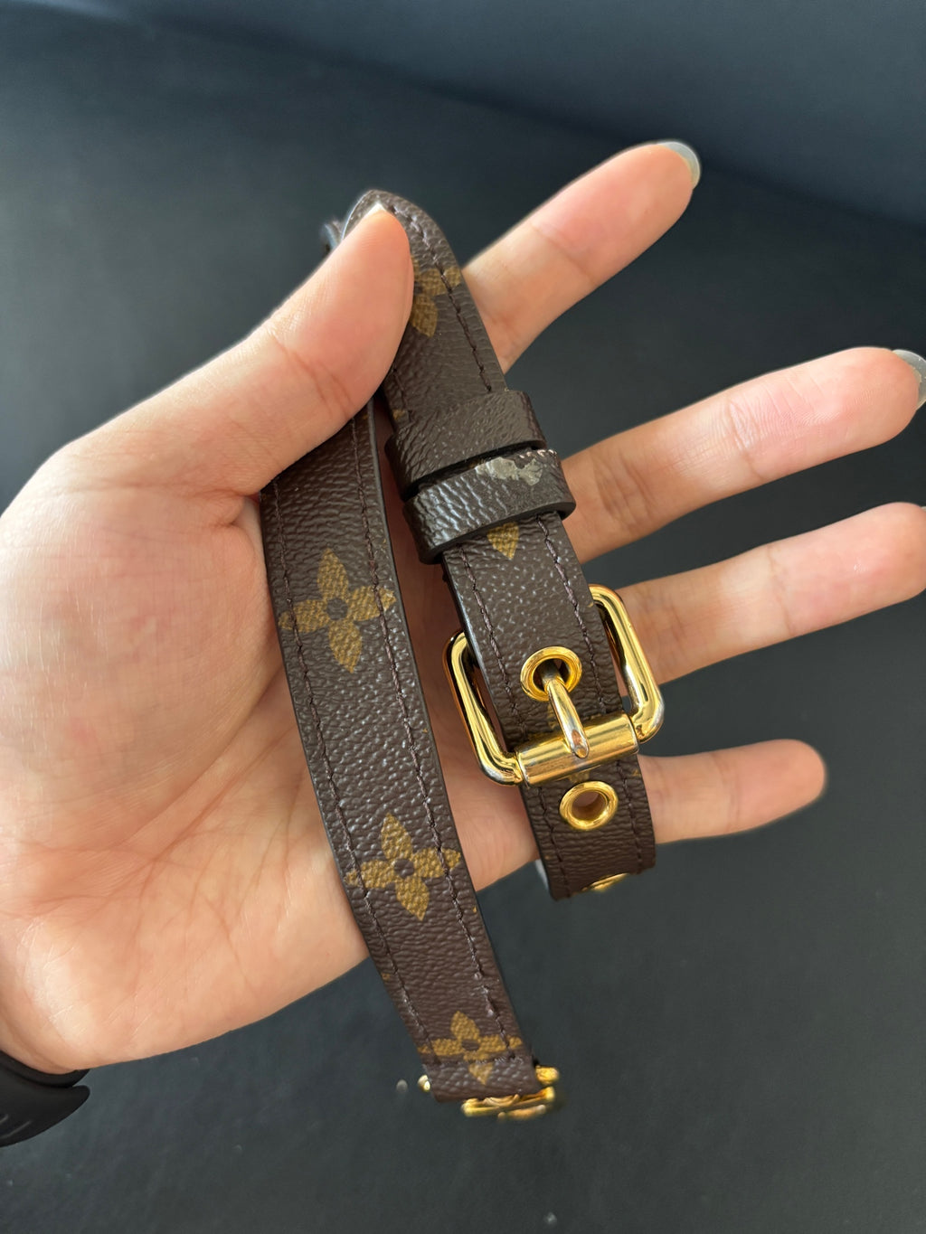 Louis Vuitton Crossbody