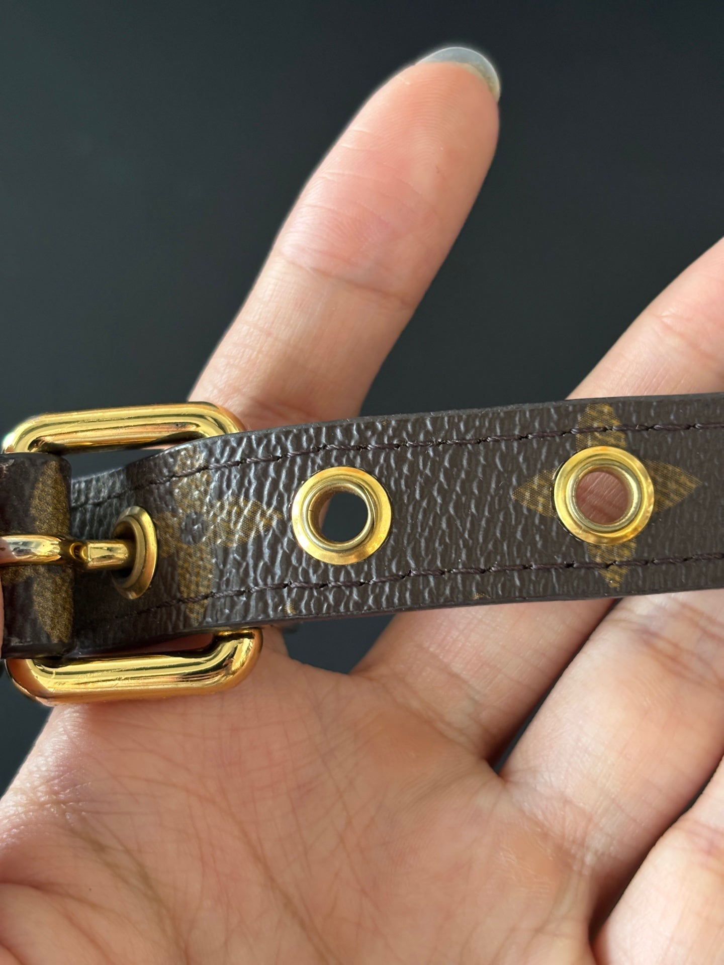 Louis Vuitton Crossbody