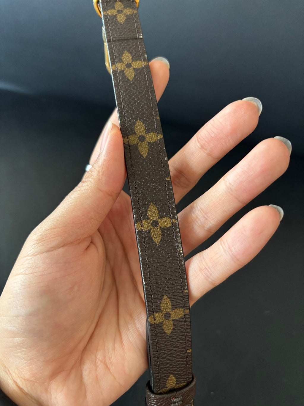 Louis Vuitton Crossbody