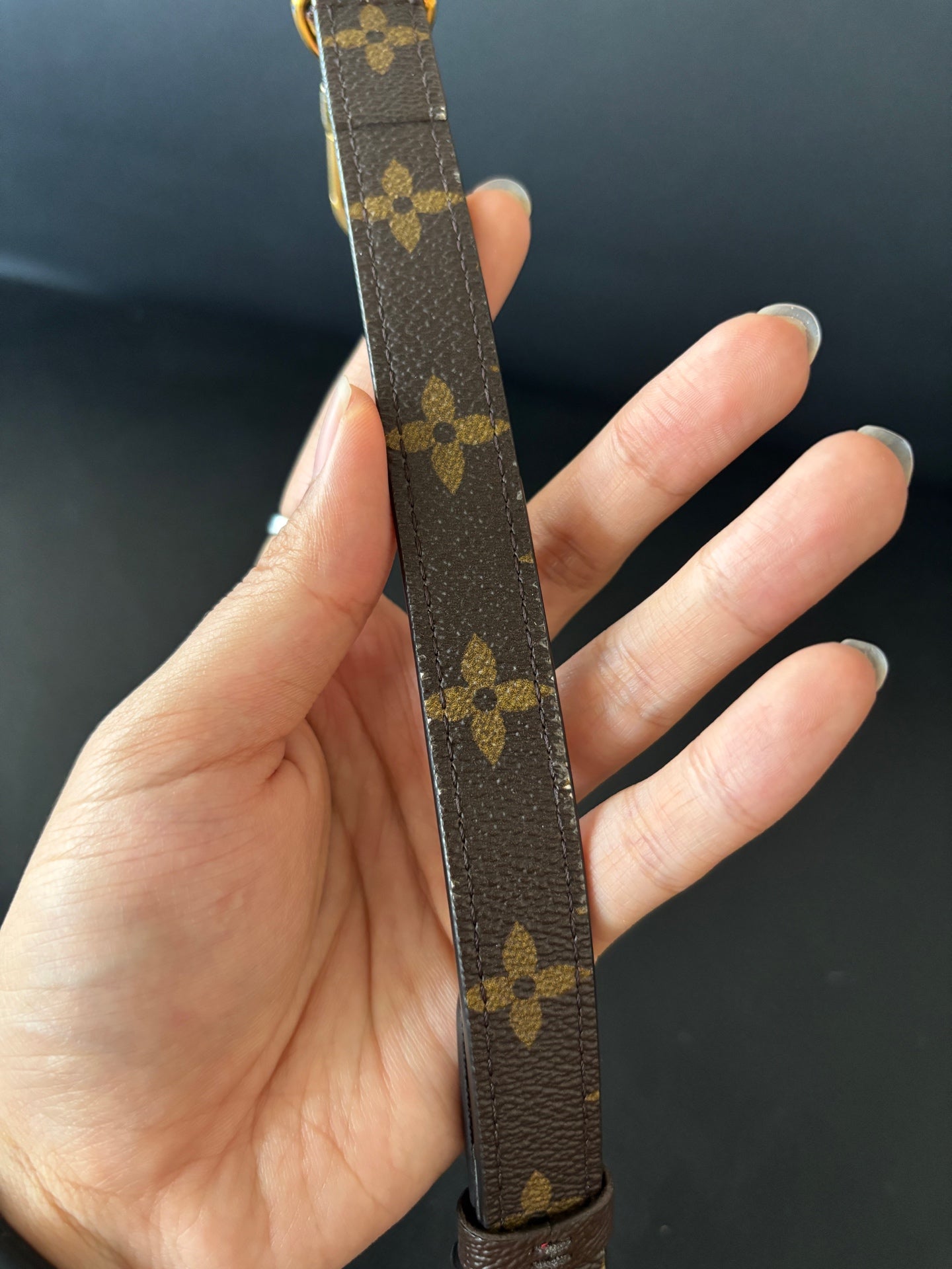 Louis Vuitton Crossbody