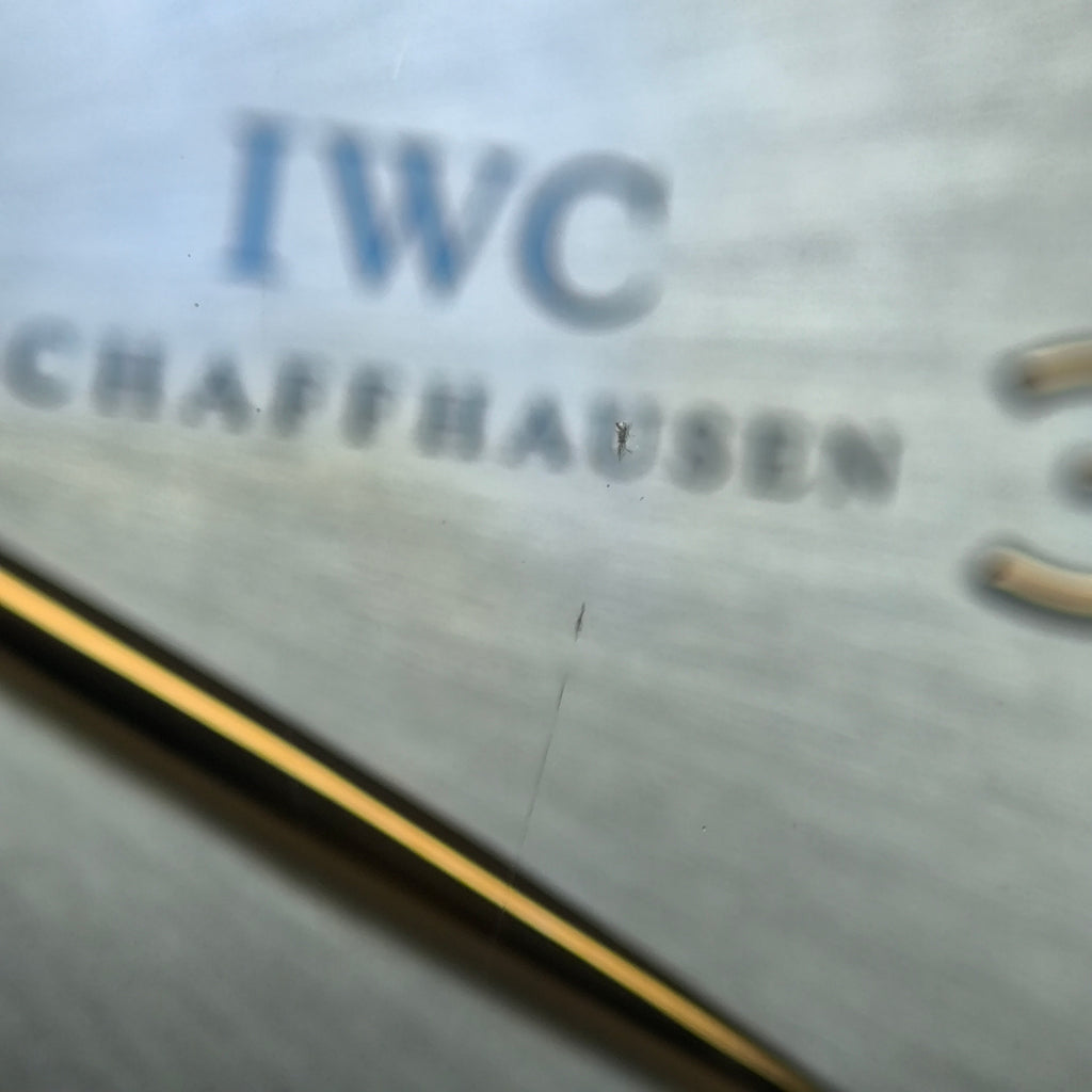IWC Portuguese Chrono 40.9 MM IW371483