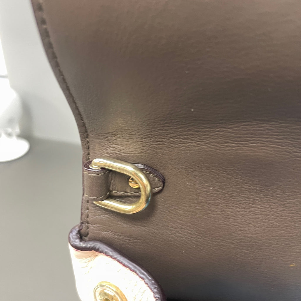 Dior Pink Crossbody