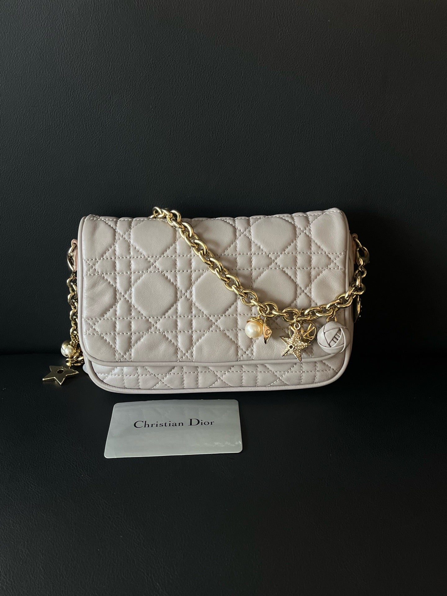 Dior Satchel