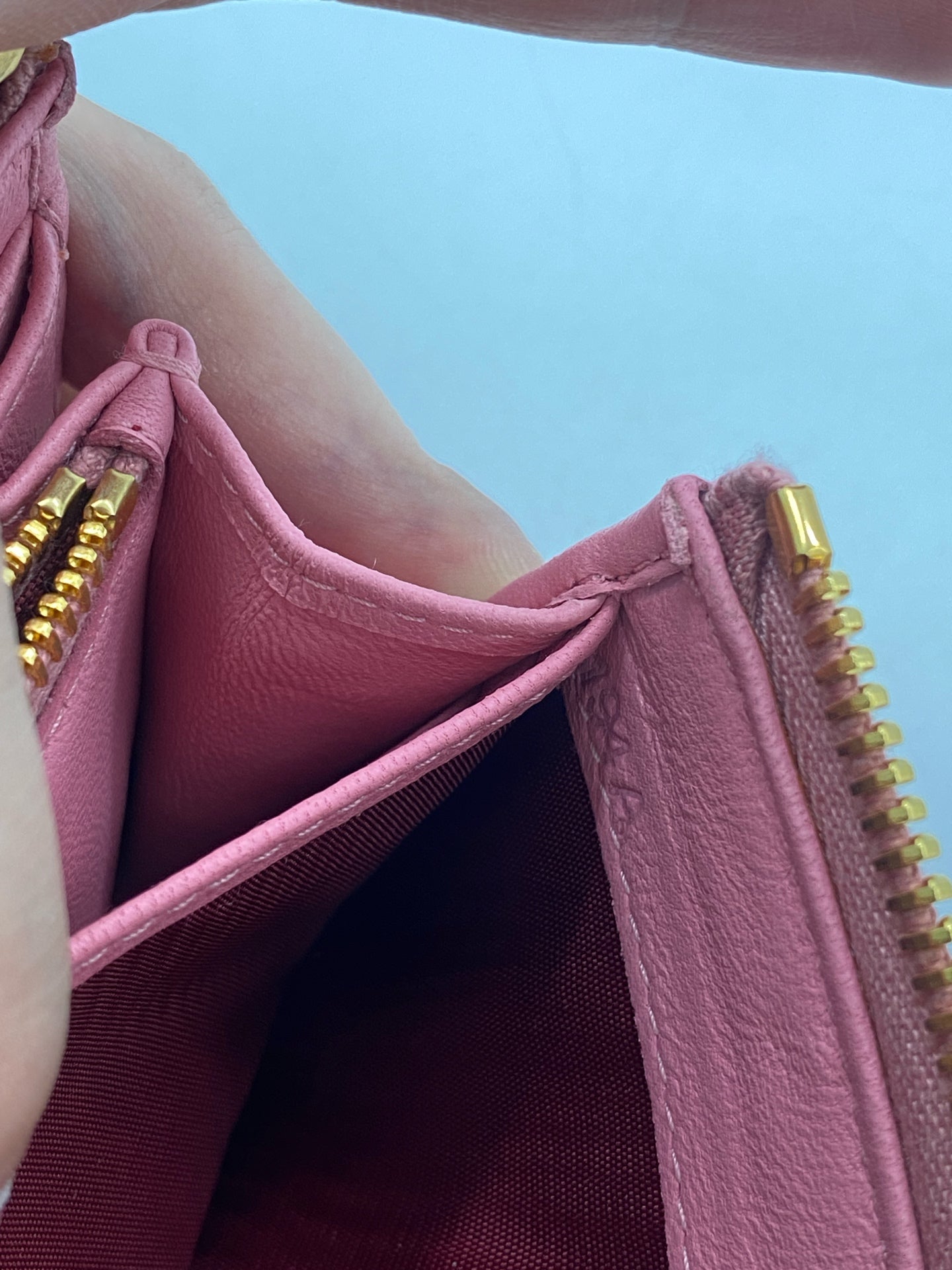 Miu Miu Pink