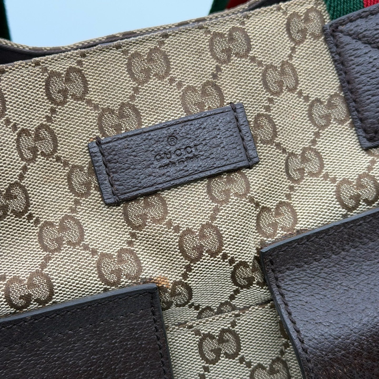 Gucci Canvas