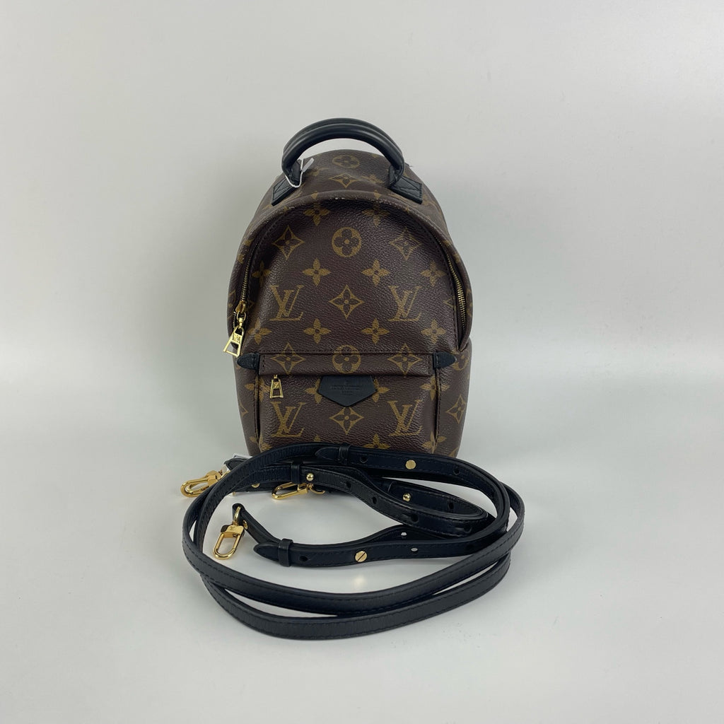 Louis Vuitton Backpack