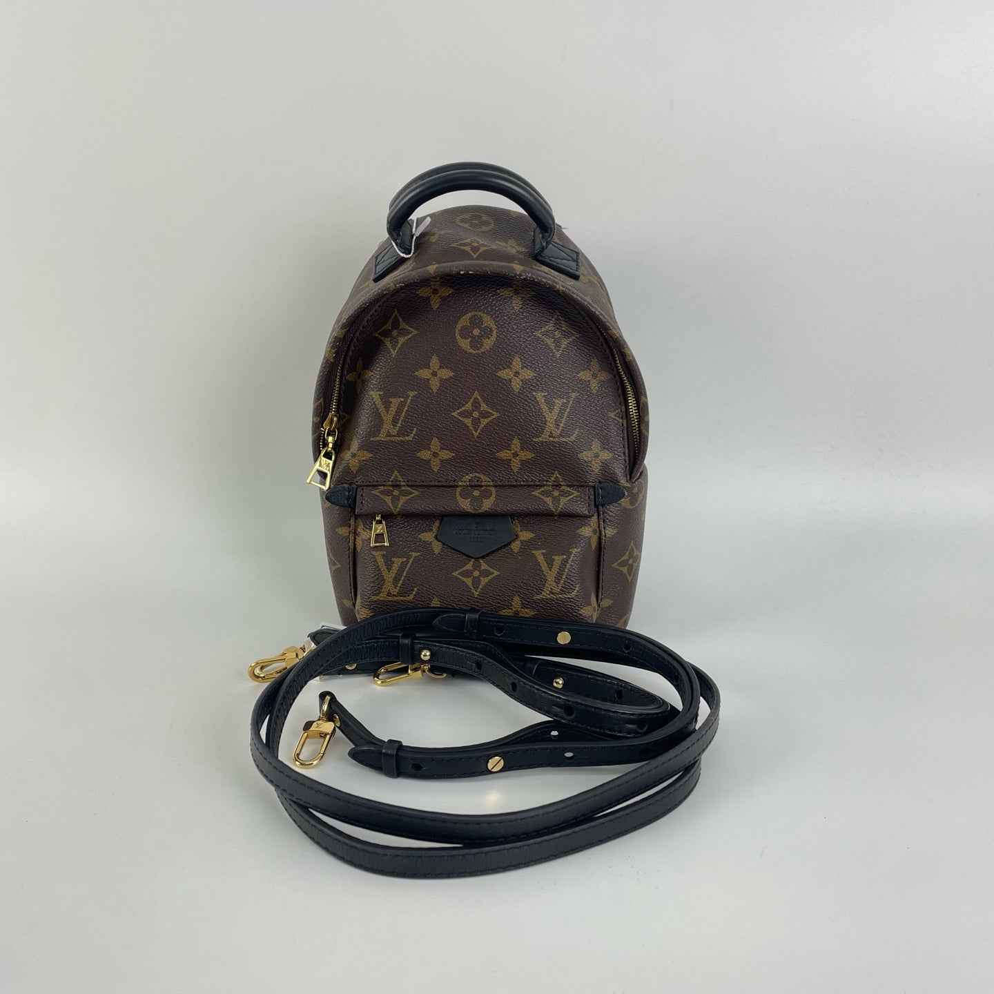 Louis Vuitton Backpack