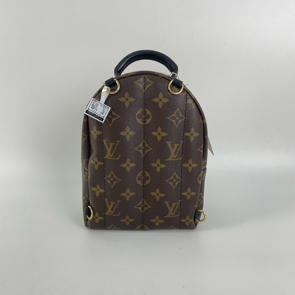 Louis Vuitton Backpack